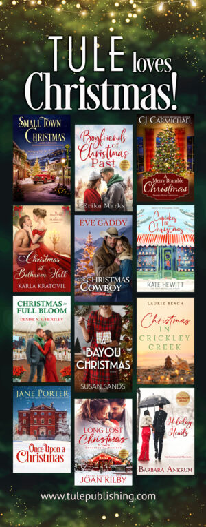 2024TuleChristmasRetractableBanner1