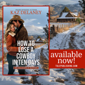 Insta2025-howtoloseacowboyintendays1